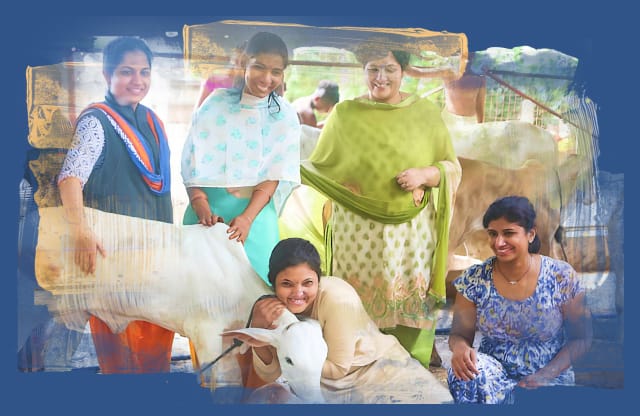 Female volunteers of GoPals with a calf.