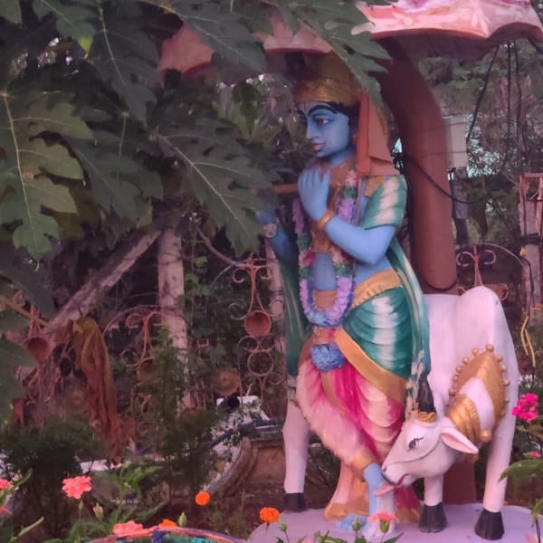 The idol of Lord Krishna.