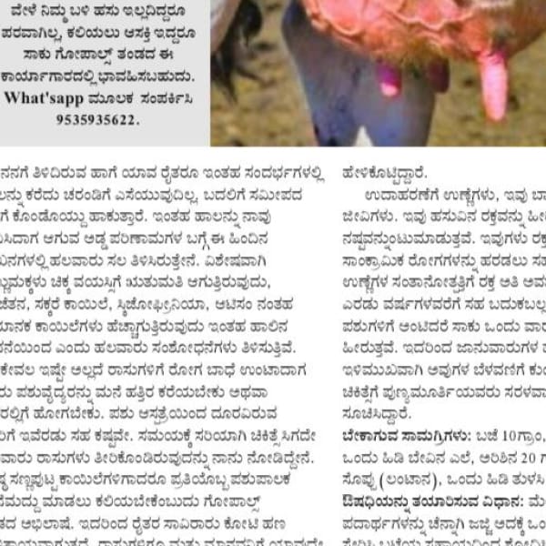 A news article about GoPals in Kannada.