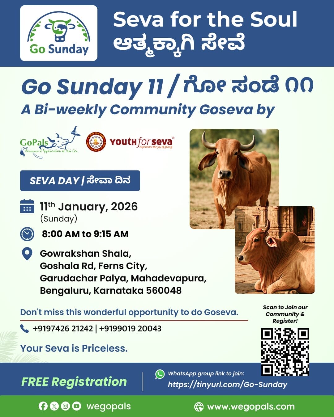 go-sunday-11-img